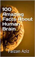 Image result for Amazing Facts About Human Brain
