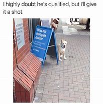 Image result for Doggo Meme with a Bat