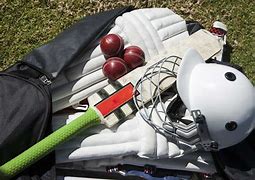 Image result for Cricket Images for Project