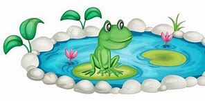 Image result for Frog Cartoon Water