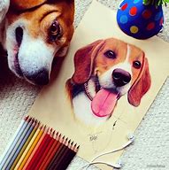 Image result for Color Pencil Dog Drawings