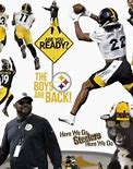 Image result for Pittsburgh Steelers Former Coaches