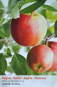 Image result for Malus domestica James Grieve