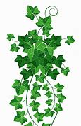 Image result for Leaf Vine Clip Art