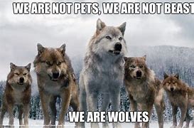 Image result for Wolf Pack Meme