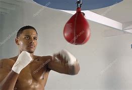 Image result for Speed Punching Bag