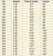 Image result for Centimeters to Inches 8X6 Chart