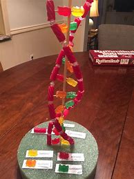 Image result for Fun DNA Experiments