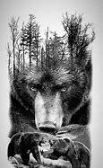 Image result for Bear Tattoo Groin