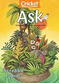 Image result for Cricket Ask Magazine