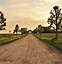 Image result for Digital Country Road Background