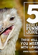 Image result for Real Funny Jokes