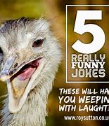 Image result for Funny Jokes Pics