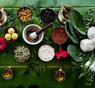 Image result for Ayurvedic Herbs and Remedies