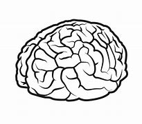 Image result for Cartoon Brain Coloring Page