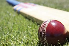Image result for Cricket Bat Ball and Wickets