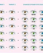 Image result for Predicting Eye Color Chart