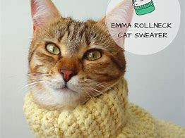 Image result for Funqu Cat Sweater