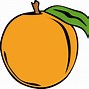 Image result for Apricot Clip Art