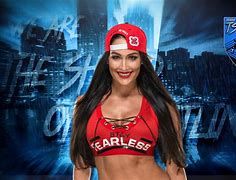 Image result for Nikki Bella WWE Universe