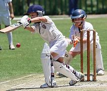 Image result for Cricket Sport for Kids