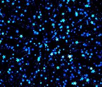 Image result for Animated Blue Sparkles