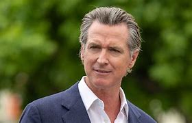 Image result for Actor Playing Gavin Newsom