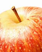 Image result for Simple Red Apple Photo
