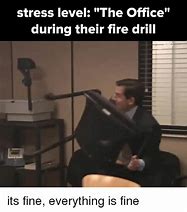 Image result for Everything On Fire This Is Fine Meme