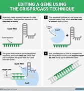 Image result for Gene Editing Technologies