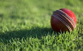 Image result for Cricket Academy Blur Image