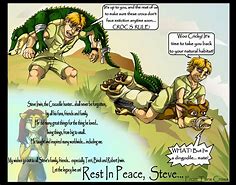 Image result for Steve Irwin Comic