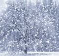 Image result for Snow Screen Effect