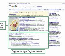 Image result for Local SEO Screen Shot