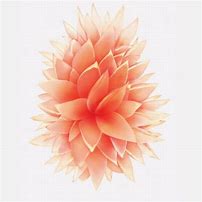 Image result for Rose Gold iPhone 5 Wallpaper