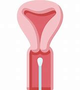 Image result for Pap Smear Icon