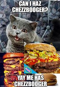 Image result for I Can Haz Cheezburger Template