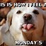Image result for Hello Monday Funny Memes