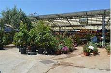 casa giardino palermo giardinaggio e agricoltura casa giardino casa giardino palermo giardinaggio e agricoltura casa giardino