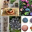 Image result for Cool Crafts with Rocks