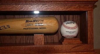 Image result for Baseball Bat Case