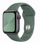 Image result for Apple Watch SportBand Pine Green