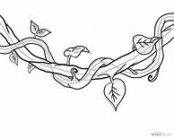 Image result for Jungle Vines Coloring Pages