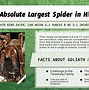 Image result for Biggest Spider in the World