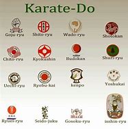 Image result for Karate Types of Martial Arts From Okinawa
