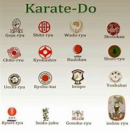 Image result for Different Karate Styles