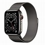 Image result for Apple Watch with Mesh Bracelet