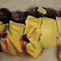 Image result for Baby Bat Shit