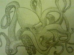 Image result for Octopus Sketches