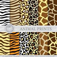 Image result for Wild Animal Prints
